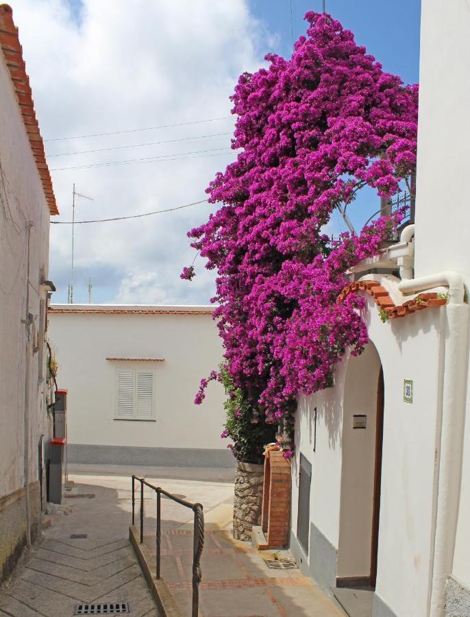 B&B Casa Angelina Anacapri  Eksteriør bilde